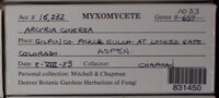 Image Associated With the Occurence